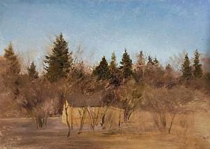 Бесснежная зима. Солнце