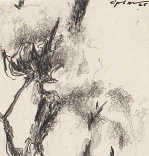 miniature 02