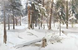 После снегопада