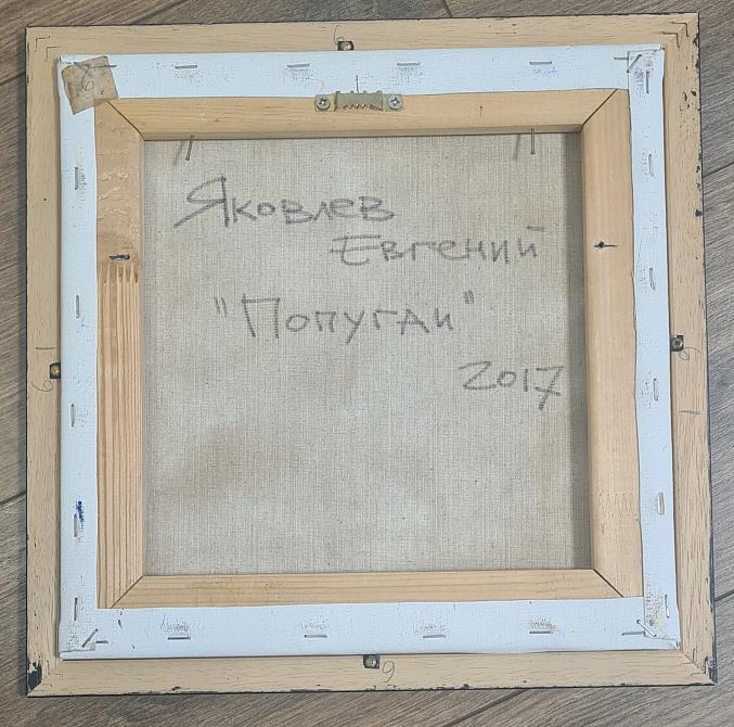 Попугаи