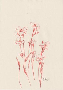 fleur 01