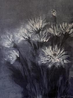chrysanthèmes